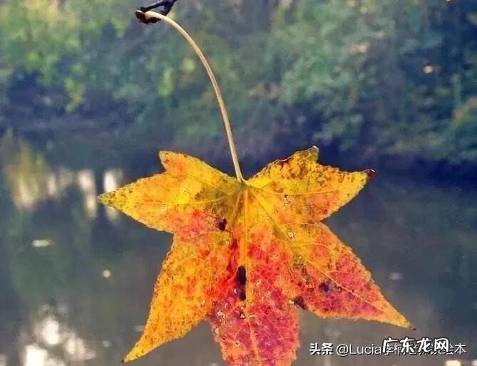 让世界更加美好 让世界充满