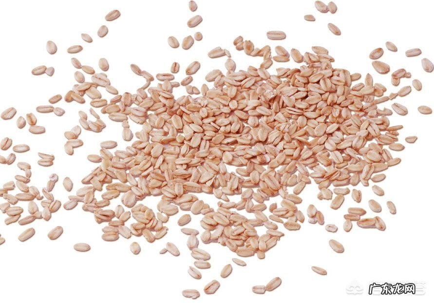 减肥的人吃燕麦片到底是增肥，还是减肥？