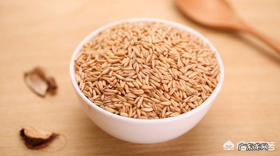 减肥的人吃燕麦片到底是增肥,还是减肥?
