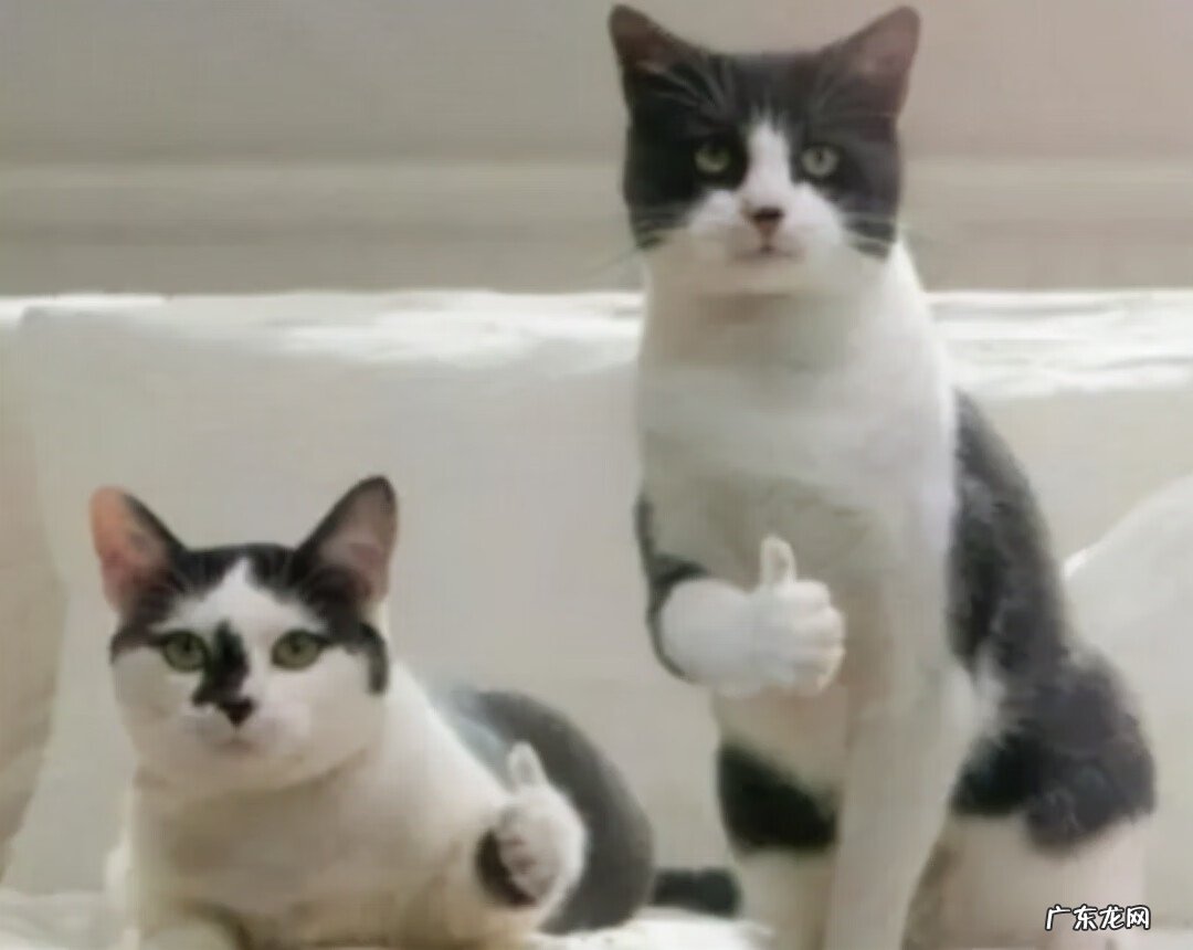 元素爆破师技能加点图 元素爆破师刷图加点