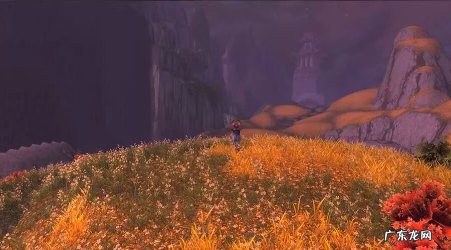 残河溟夜皮肤 残阳关副本入口在哪