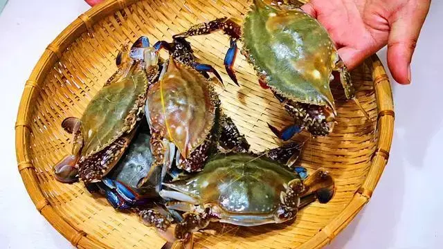 螃蟹大概需要蒸多长时间 螃蟹需要蒸几分钟才好吃