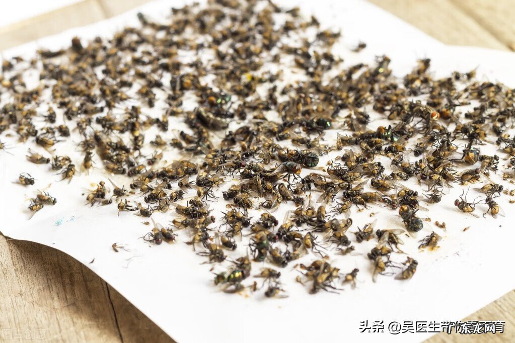 精子跟碎果冻一样是什么原因 果冻精是什么原因造成的