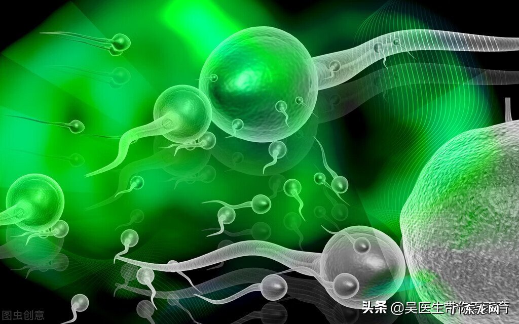 精子跟碎果冻一样是什么原因 果冻精是什么原因造成的
