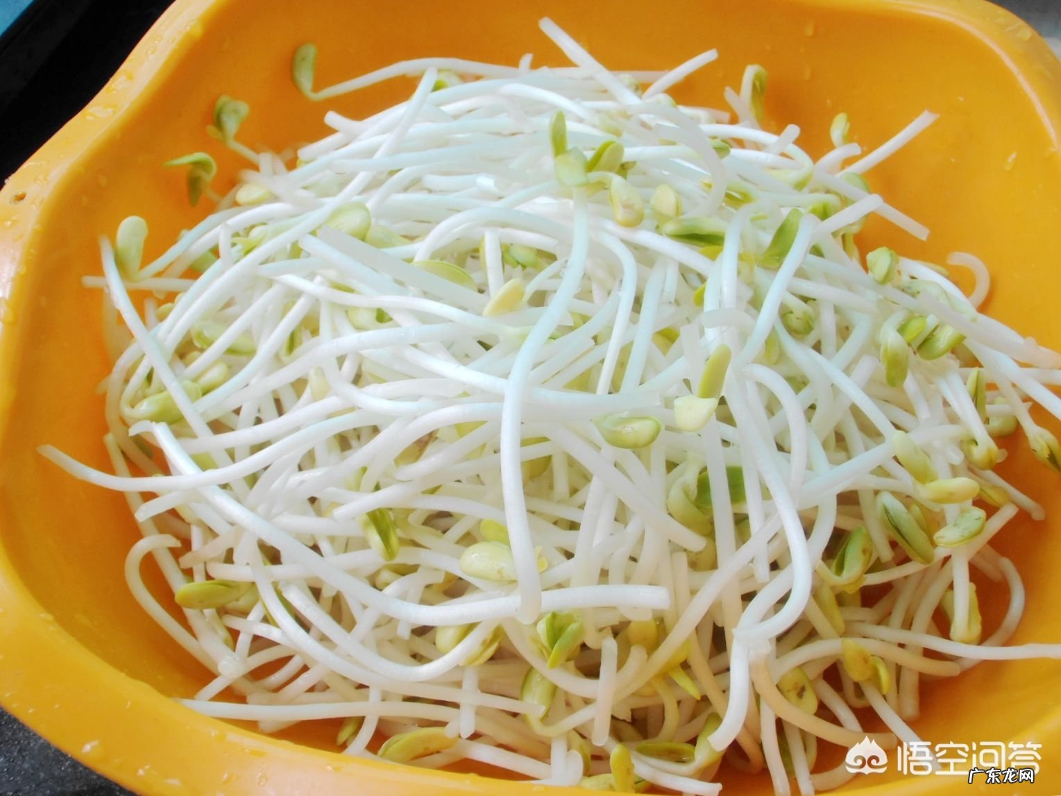 天然的有助于降血脂的食物有哪些?