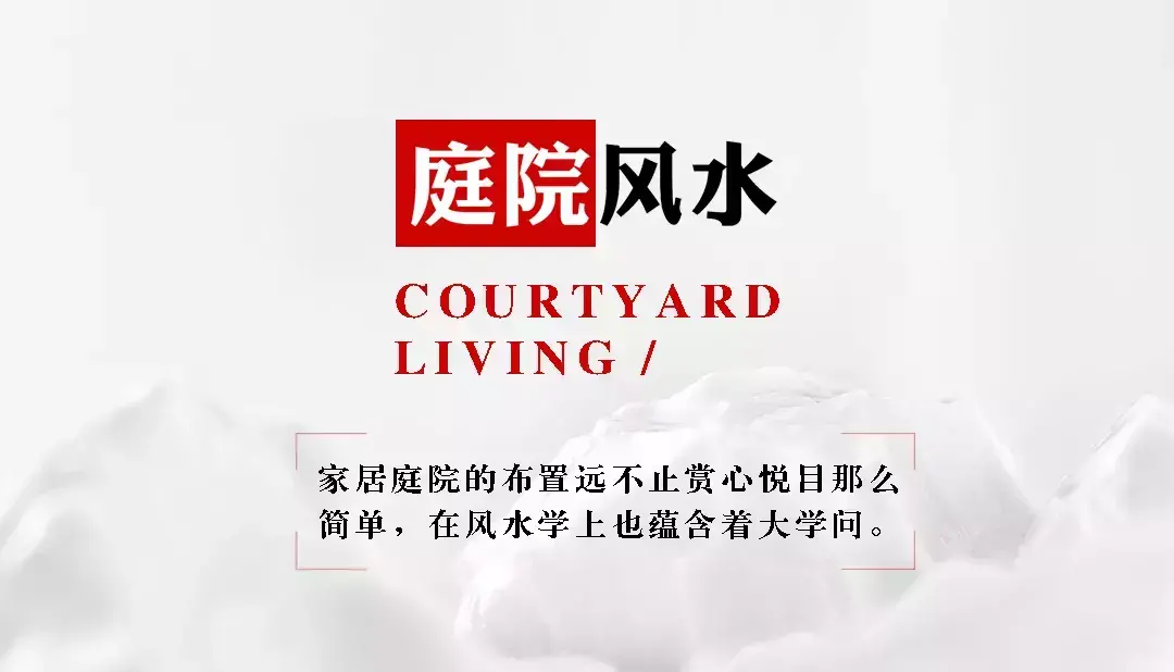 鱼缸里的造景影响风水 鱼缸造景的风水问题有哪些