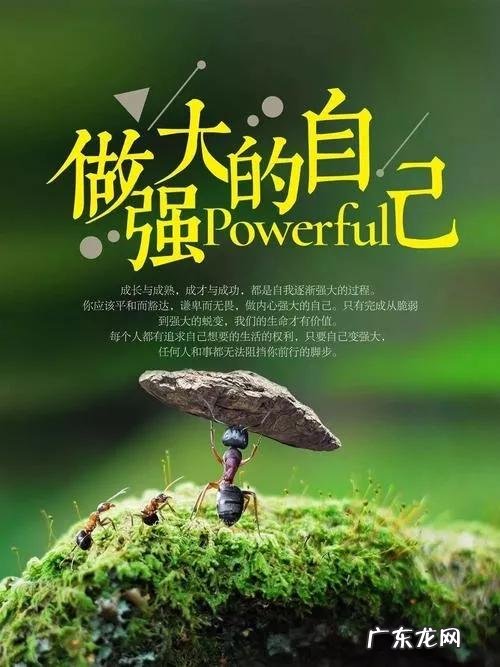 二建准考证没有打印入口 二建准考证打印入口在哪里