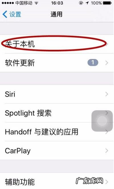 怎么查到苹果手机激活时间 如何查苹果手机激活时间