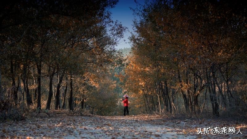 出门旅行应该带什么必备的东西？