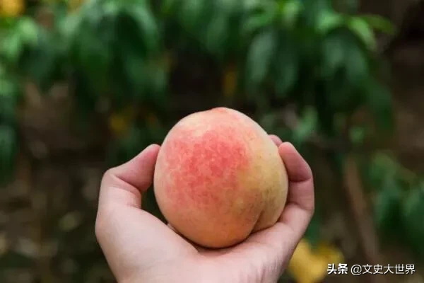 吃桃子对身体有什么好处吗?