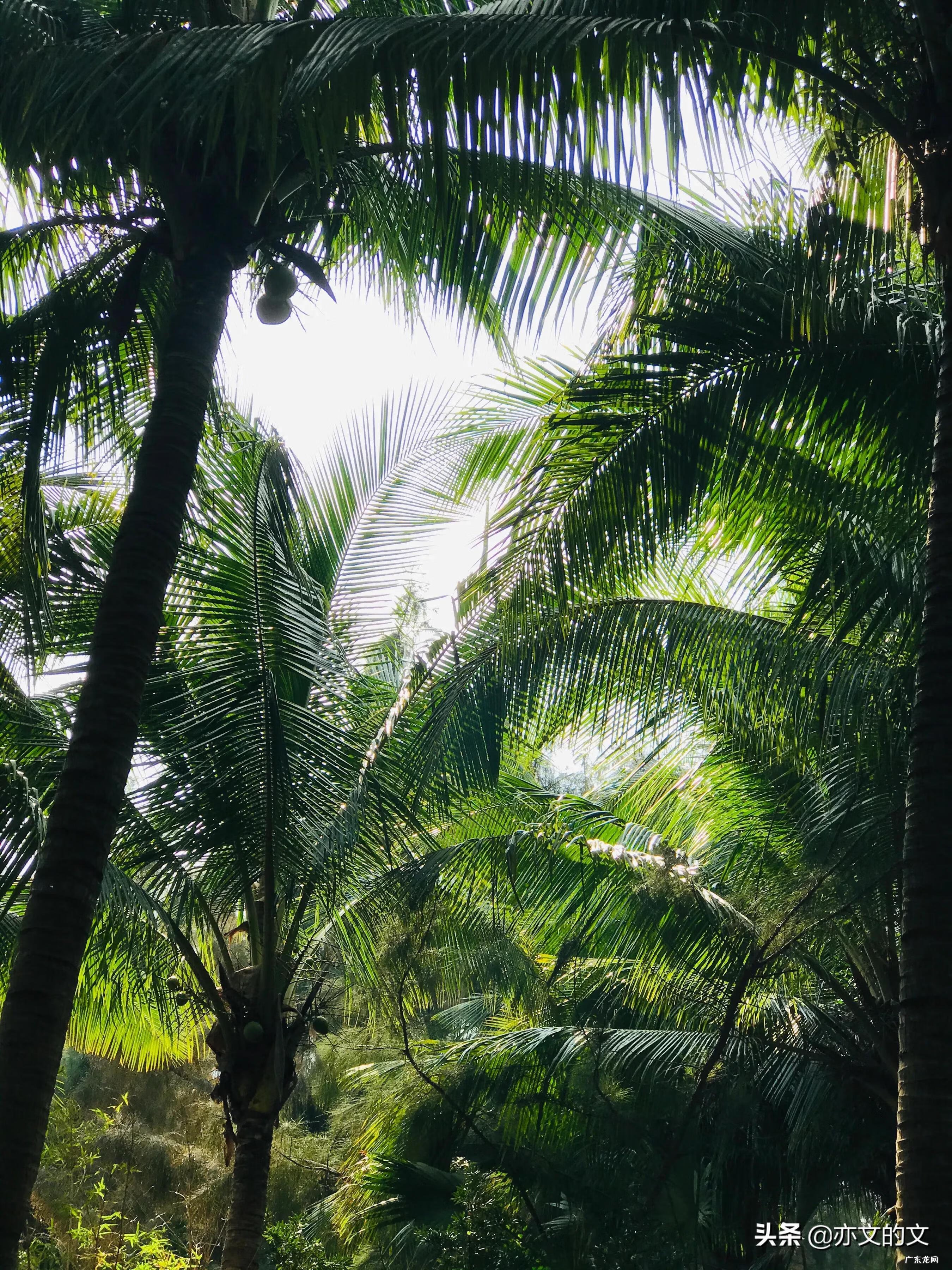 具俊晔个人资料 具俊晔百科有多高