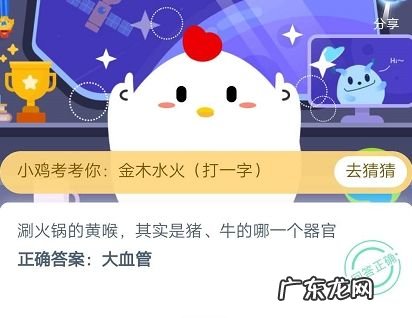 黄喉是哪个器官图片 猪的黄喉是什么部位