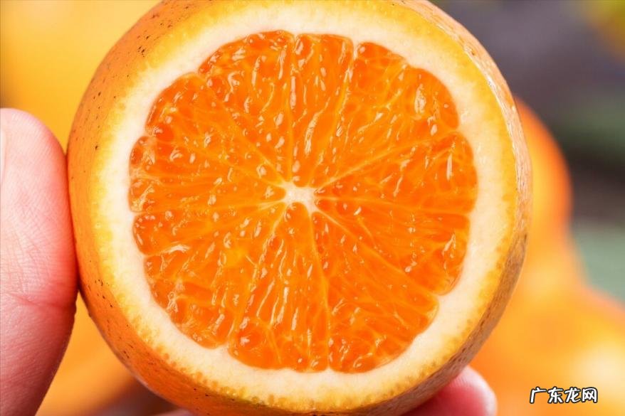 脐橙之乡是哪里 哪里的橙子好好吃