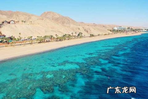 潜水圣地去哪里好看 世界三大潜水圣地是哪三个