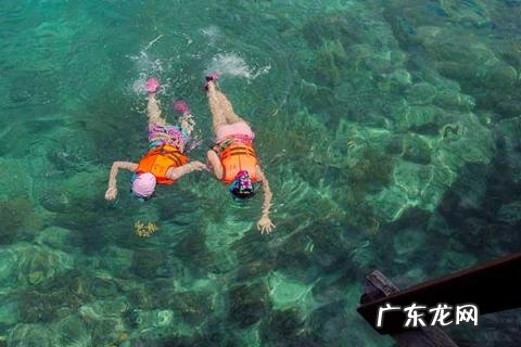 潜水圣地去哪里好看 世界三大潜水圣地是哪三个