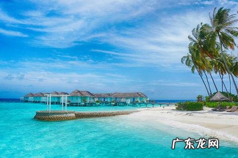 潜水圣地去哪里好看 世界三大潜水圣地是哪三个