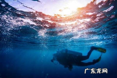 潜水圣地去哪里好看 世界三大潜水圣地是哪三个
