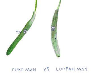 哈密瓜英文 黄瓜英文怎么写