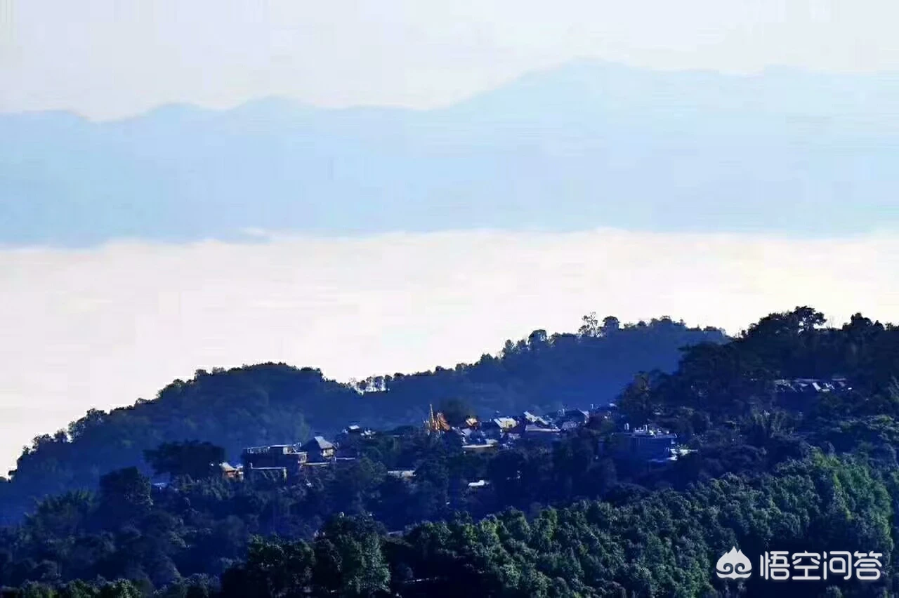 什么时候嫁接龙眼树苗最好?