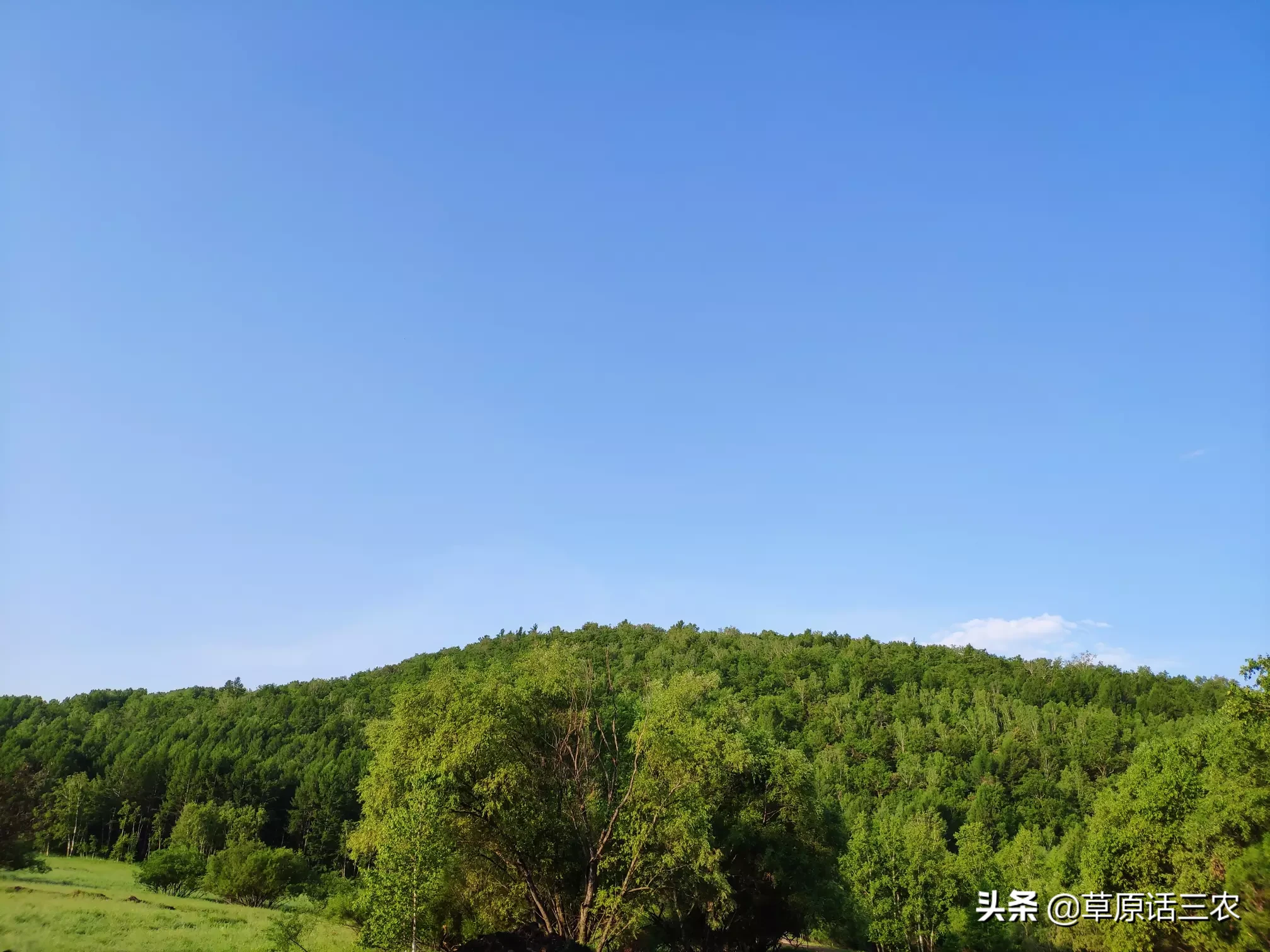 今年的秋老虎还要多久?