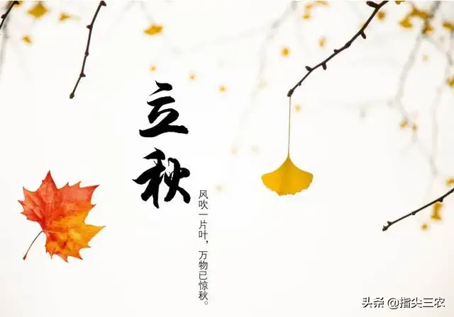 今年的秋老虎还要多久?