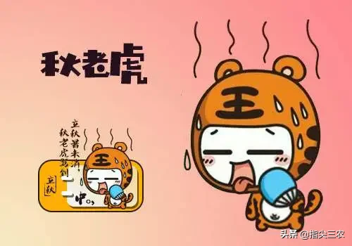 今年的秋老虎还要多久?