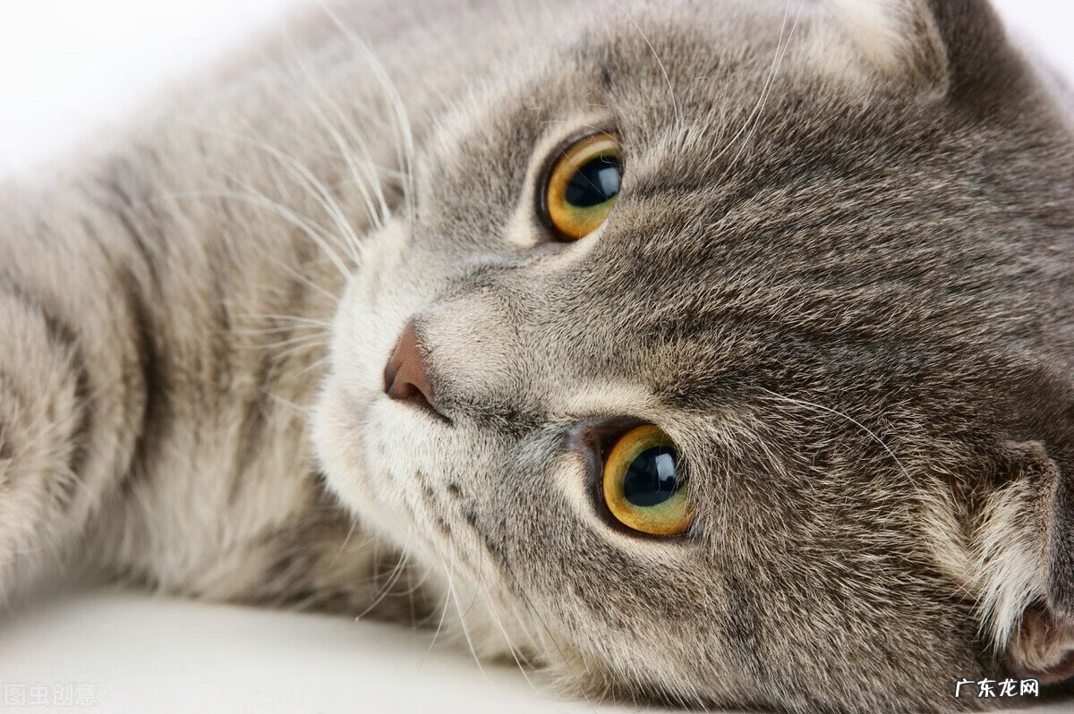 今年干什么小生意赚钱 干什么能赚钱