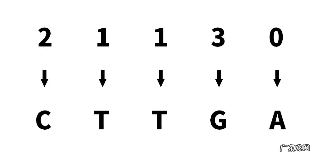 真三国无双5修改器无效 真三国无双5修改器用不了