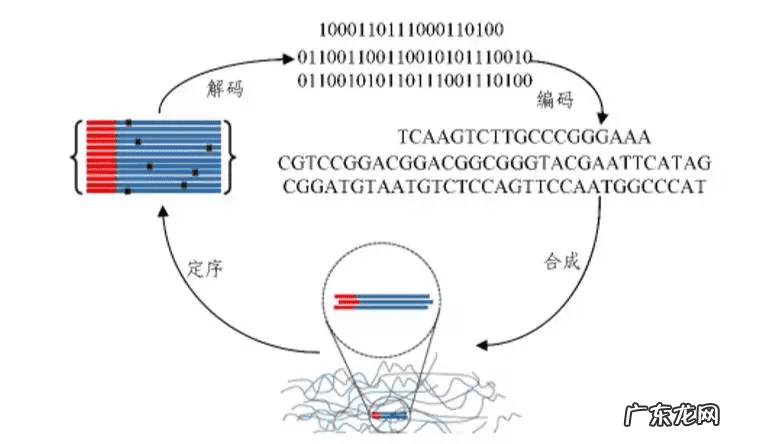 真三国无双5修改器无效 真三国无双5修改器用不了