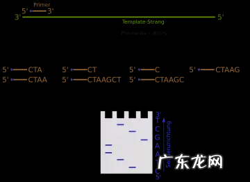 真三国无双5修改器无效 真三国无双5修改器用不了