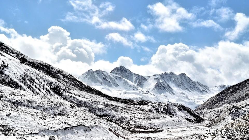 团队旅游一定要跟团吗?