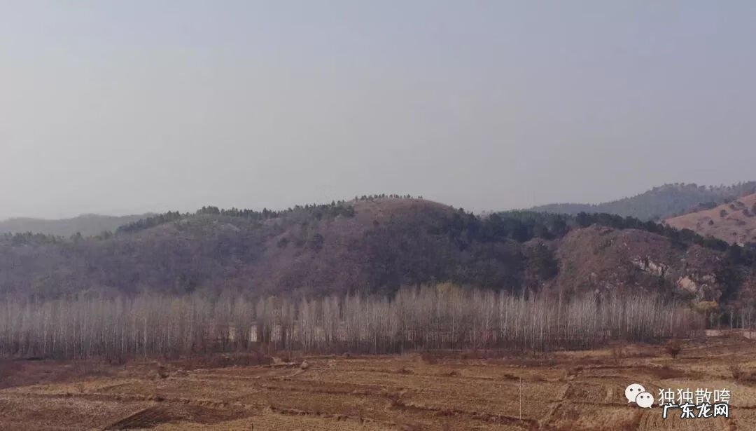 九龙湖过江大桥公示 九龙山风水宝地