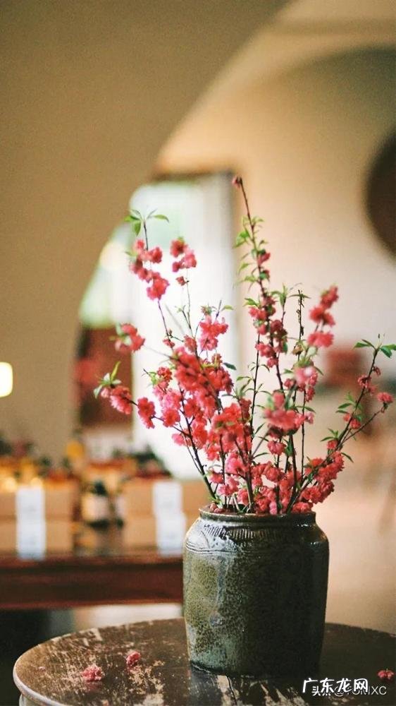 深水醒花泡一天一夜 醒花怎么泡