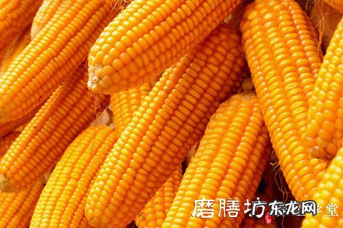 吃什么可以丰胸效果最好 吃什么丰胸效果比较好