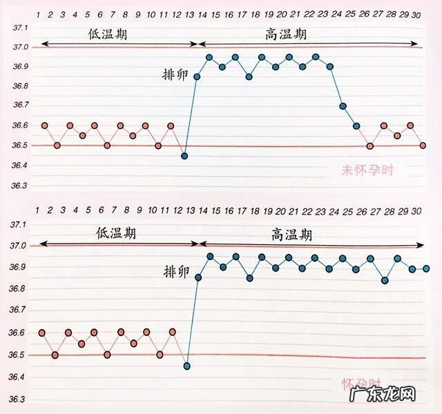 人一天体温变化曲线图 正常基础体温曲线图