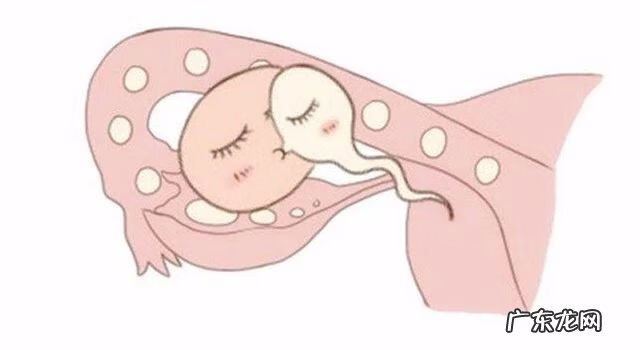 人一天体温变化曲线图 正常基础体温曲线图