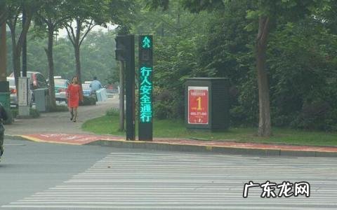 机动车信号灯分为 道路交通信号灯包括-机动车信号灯介绍