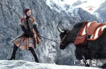 爱马仕丝巾图片及logo标志 爱马仕丝巾为啥这么贵7万多种颜色 耗时两年 看完就觉得值了