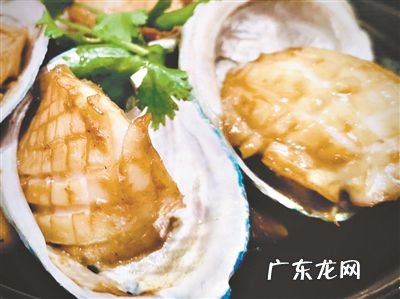 鲍鱼的样子 鲍鱼壳的功效和作用