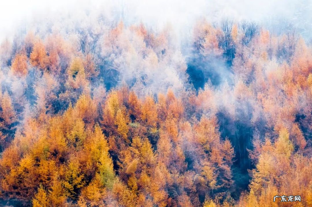 10月左右去哪里旅游比较好 10月份去哪里旅游好