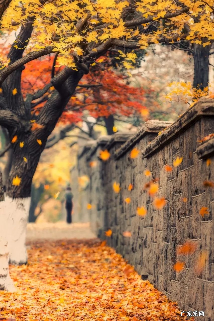 10月左右去哪里旅游比较好 10月份去哪里旅游好