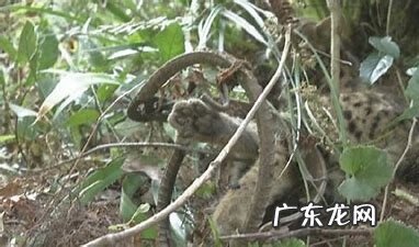 活人墓相关规定 修建活人墓