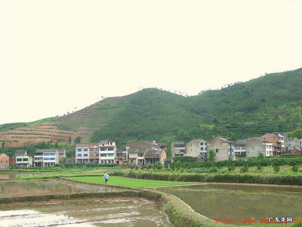 活人墓相关规定 修建活人墓