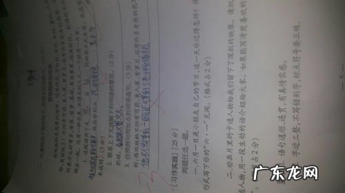 不仅还能造句子 不仅还造句三年级上册