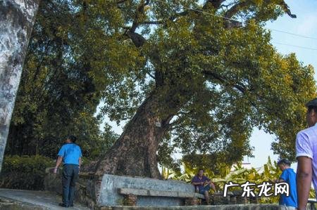 惠州市惠阳区三河镇 广东惠州惠阳三和镇风水宝地