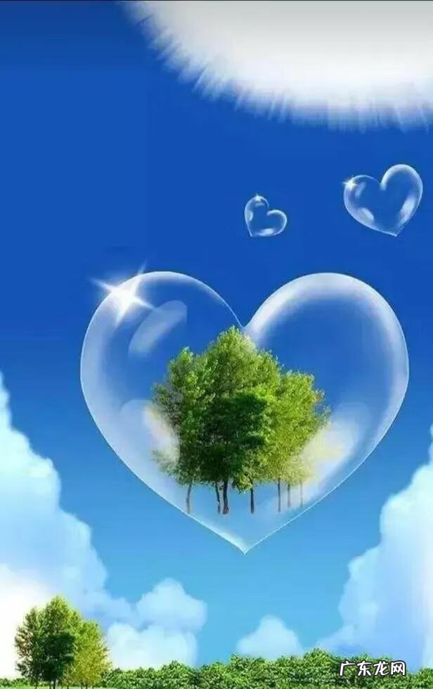 何首乌怎么使用 何首乌风水传说