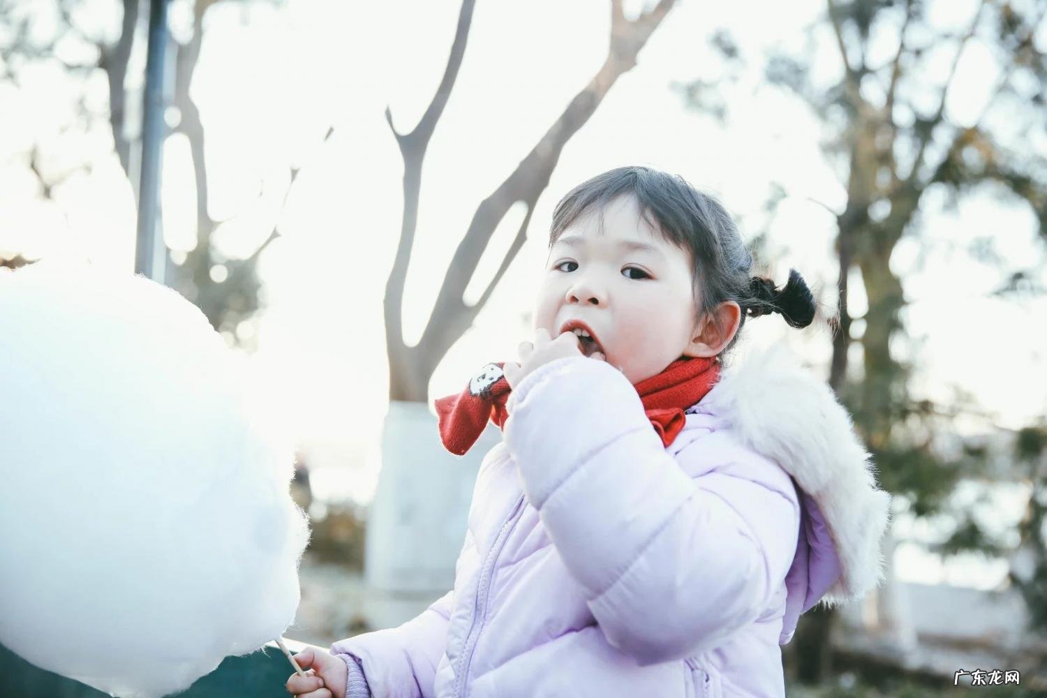 南锣鼓巷游玩攻略与北锣鼓巷 南锣鼓巷必去
