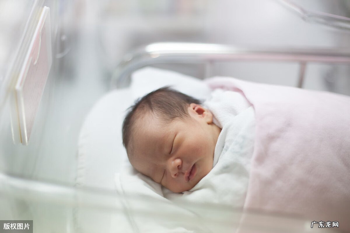 生育险报销比例2020 生育保险报销金额计算