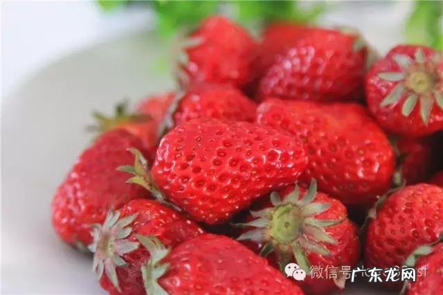 早上早饭吃什么最好