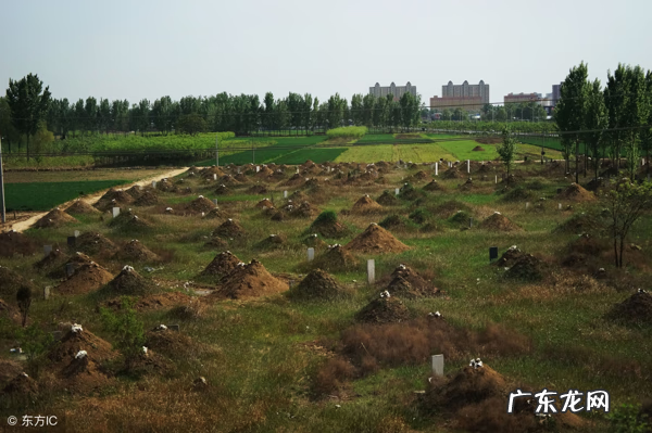 门前风水池 坟墓前有水池风水好吗
